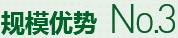 購(gòu)買(mǎi)蔬菜種子，鼎牌優(yōu)勢(shì)三