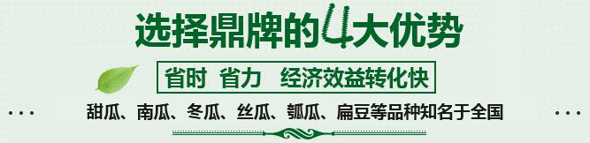 購(gòu)買(mǎi)蔬菜種子，選擇鼎牌的四大優(yōu)勢(shì)