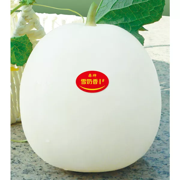 薄皮甜瓜，哪個品種最好呢？畝產(chǎn)高達10萬，附4種市場爆款品種