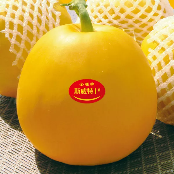 薄皮甜瓜，哪個品種最好呢？畝產(chǎn)高達10萬，附4種市場爆款品種