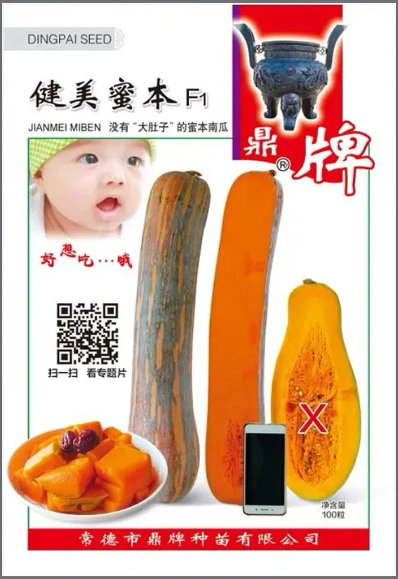 3元1斤的健美蜜本南瓜快成熟了，緬甸種植戶發(fā)來圖片與視頻