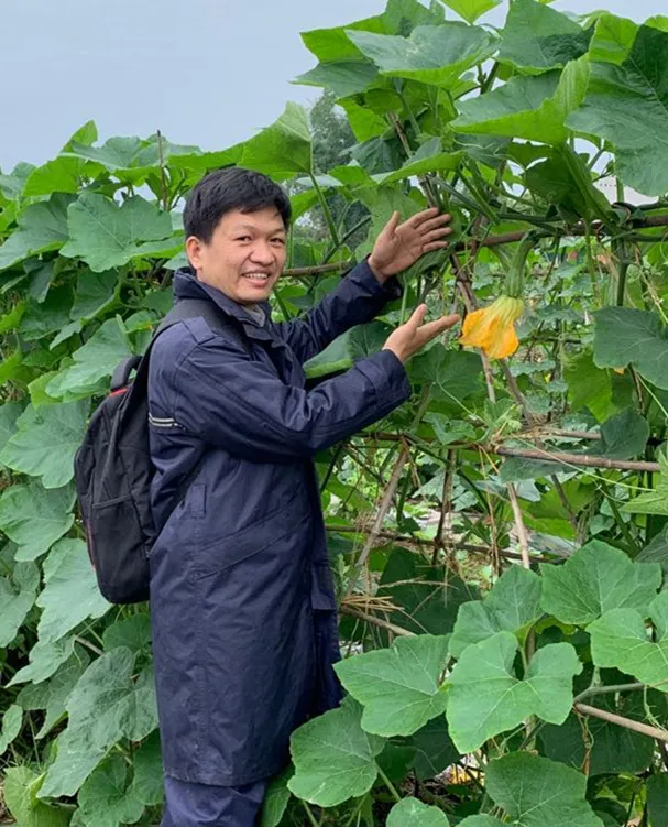 3元1斤的健美蜜本南瓜快成熟了，緬甸種植戶發(fā)來圖片與視頻