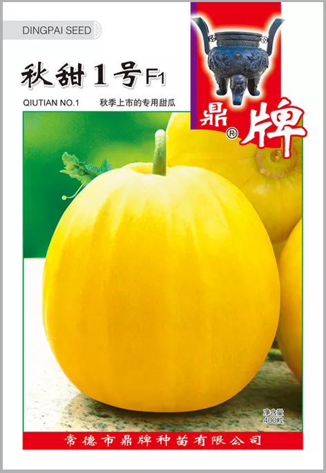 高溫季節(jié)種植甜瓜，什么品種最好？這個品種是秋季上市的專用品種