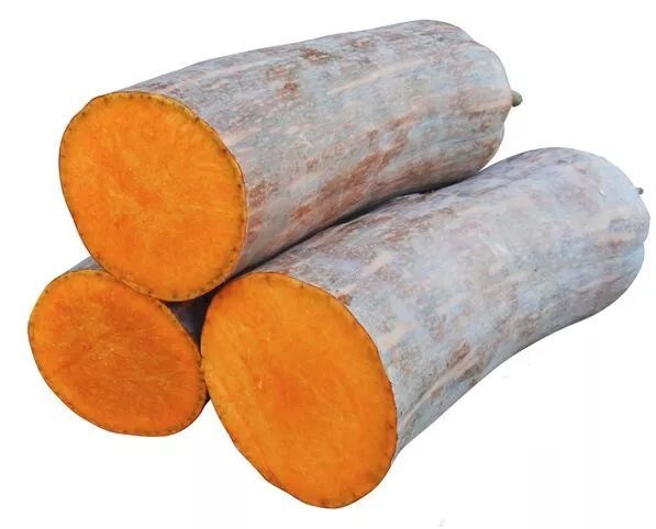 生吃都好吃南瓜新品種，沒有大肚子，肉質(zhì)更密致，農(nóng)戶試種下