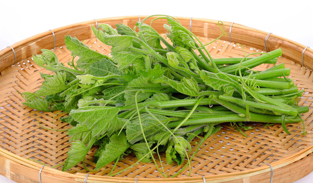種這種綠葉菜，栽培輕松，畝產(chǎn)值過萬元，菜農(nóng)表示很劃算