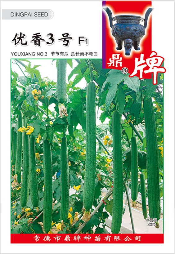 它是絲瓜種植戶的新選擇，節(jié)節(jié)有瓜，瓜長而不彎曲