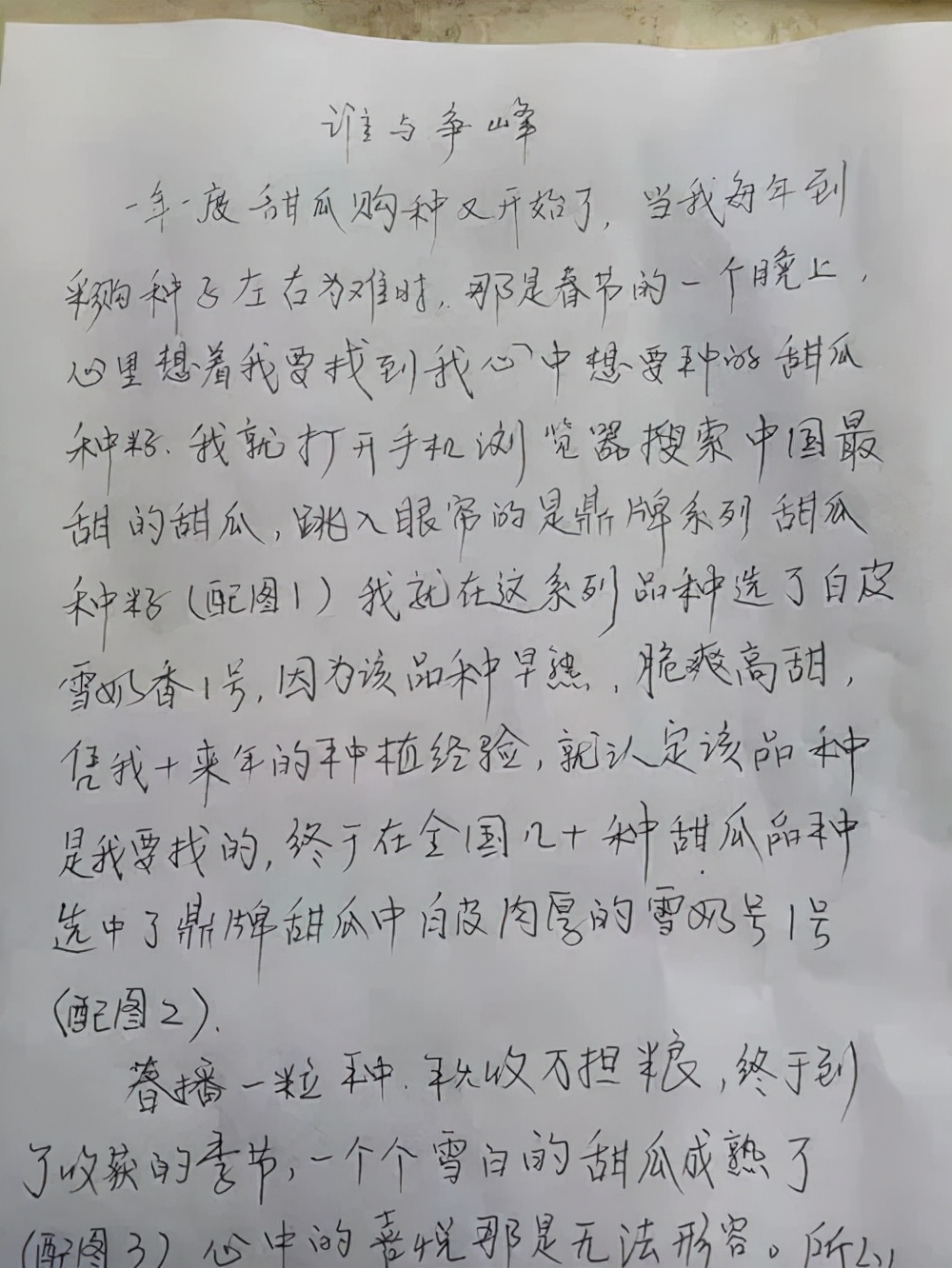 河南焦作的李向林今年種植甜瓜新品種，客戶直接拉貨走人