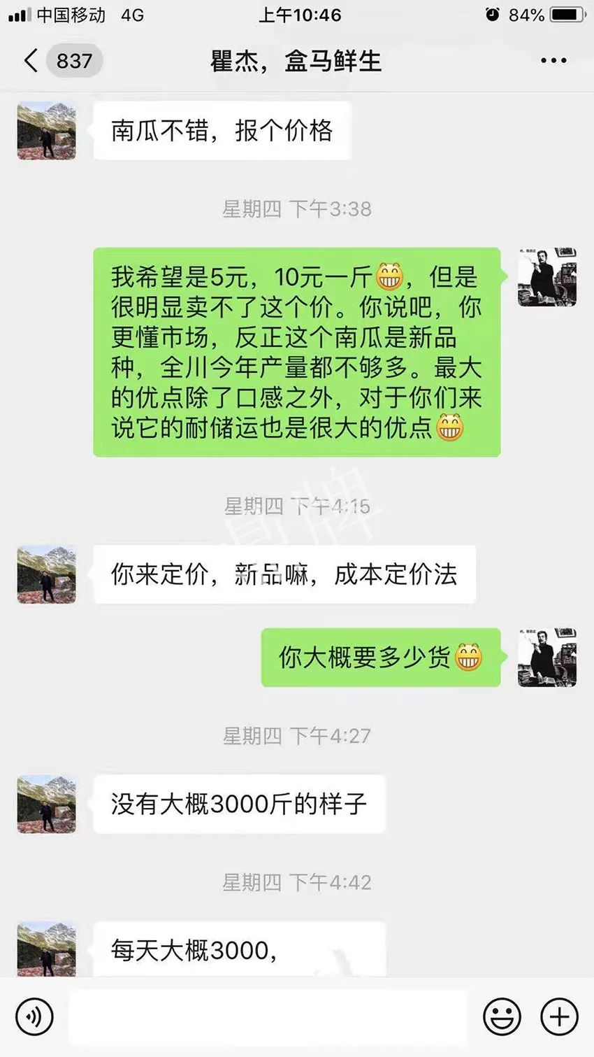 四川農(nóng)戶今年種“健美蜜本”南瓜產(chǎn)量高，品質(zhì)好，感覺巴適得很