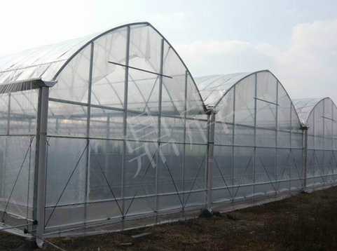 蔬菜種子種植戶客戶點評-鼎牌瓠瓜上市早，地頭批發(fā)價達到8元/斤，種植基地王老板告訴您！